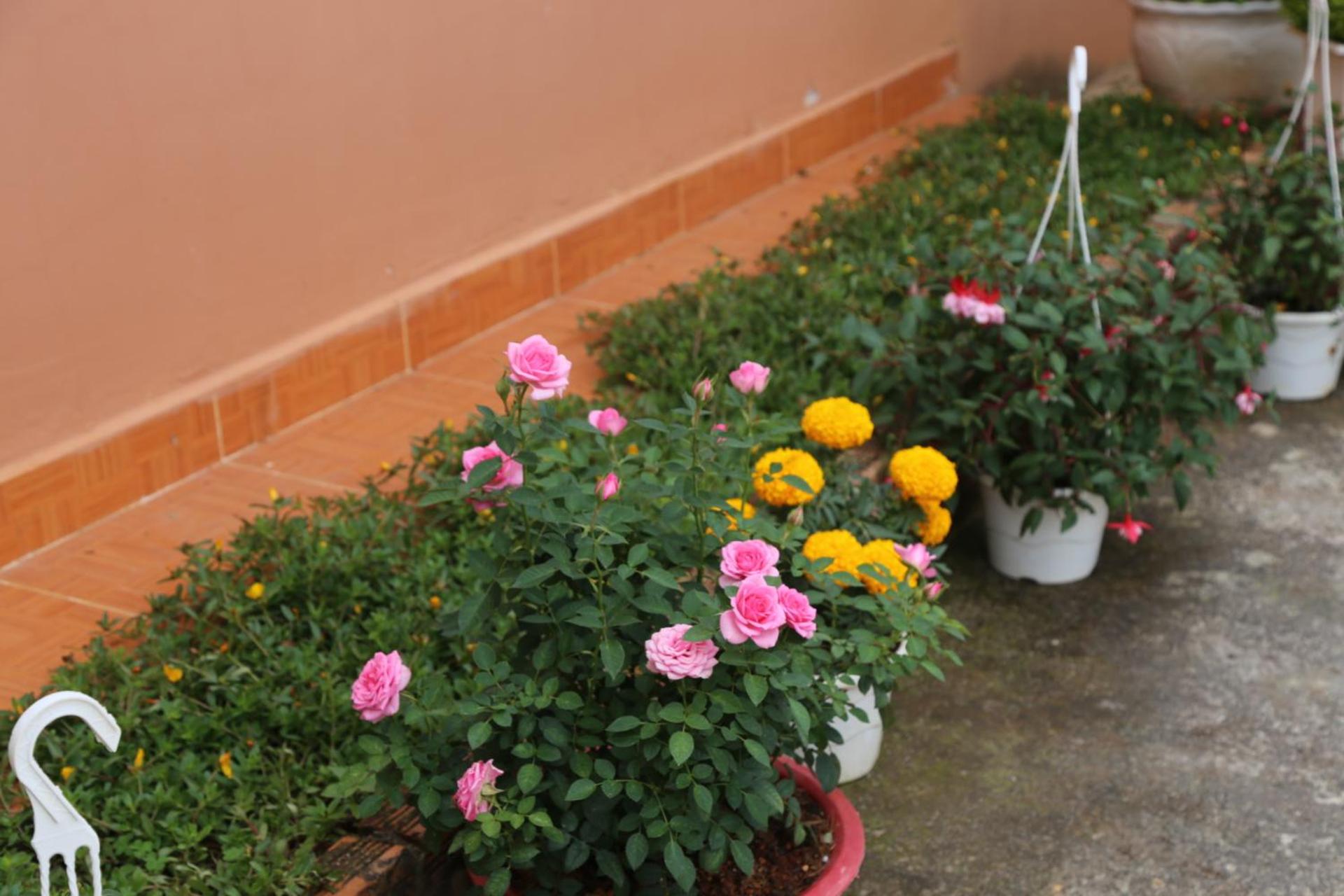 Photo 28