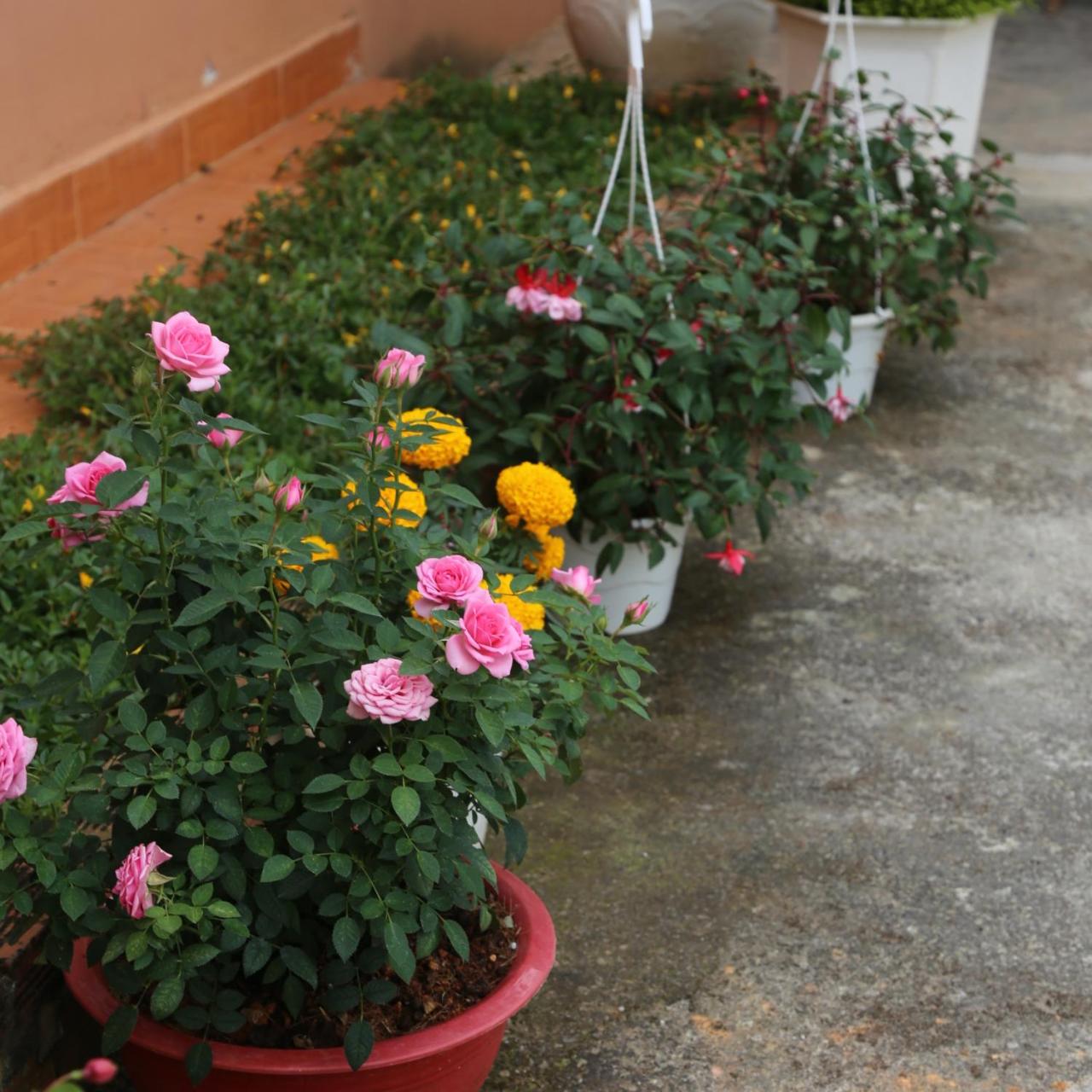 Photo 46