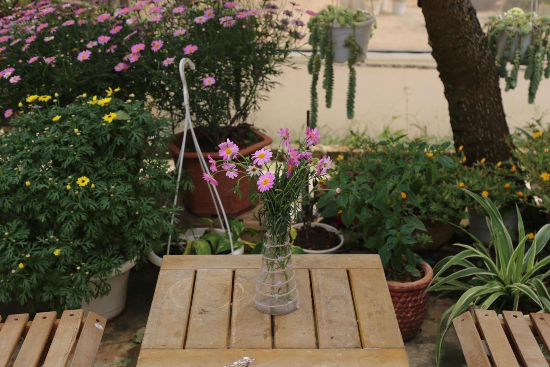 Photo 42