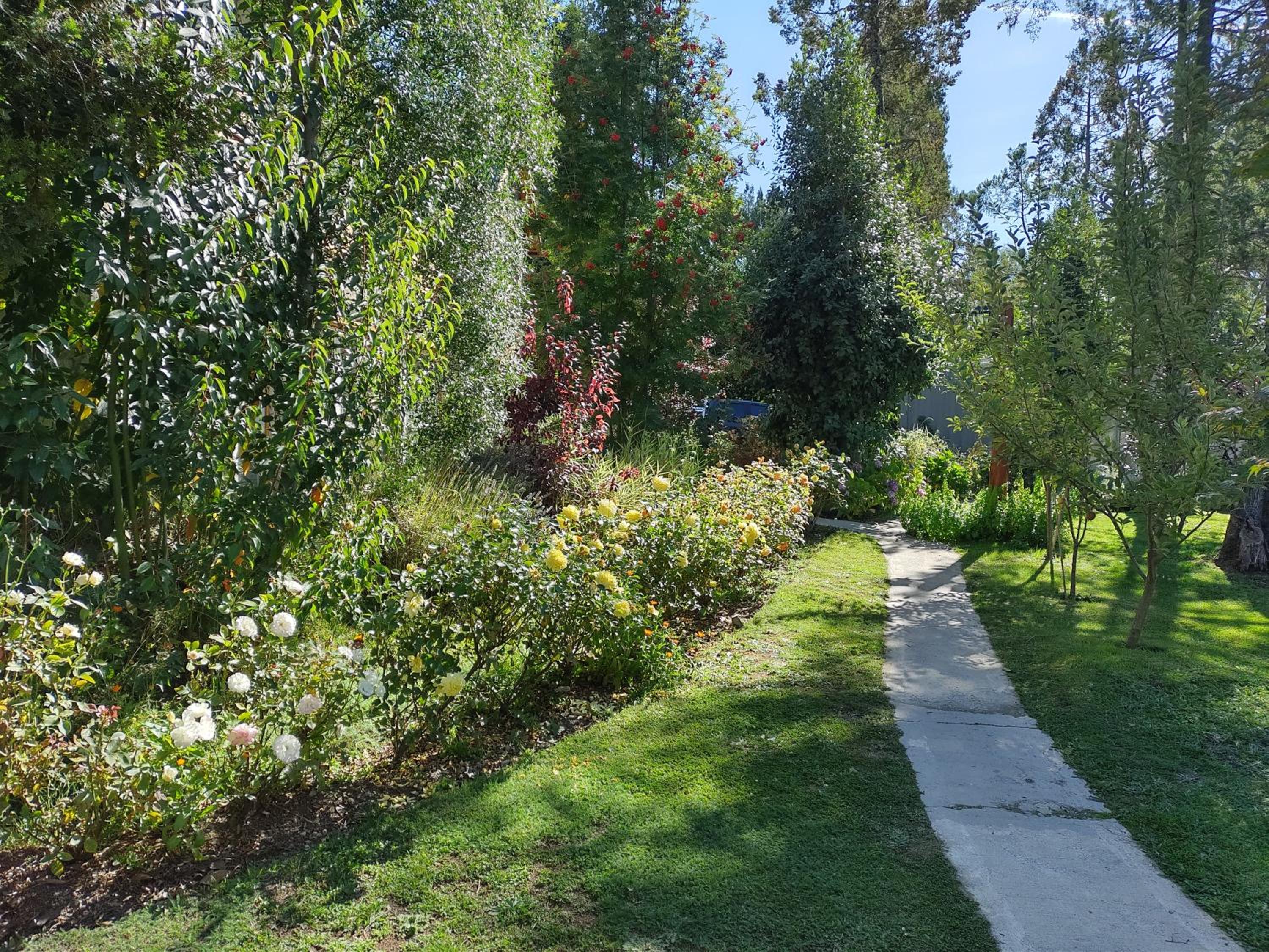 Apartamentos Bajo Cero