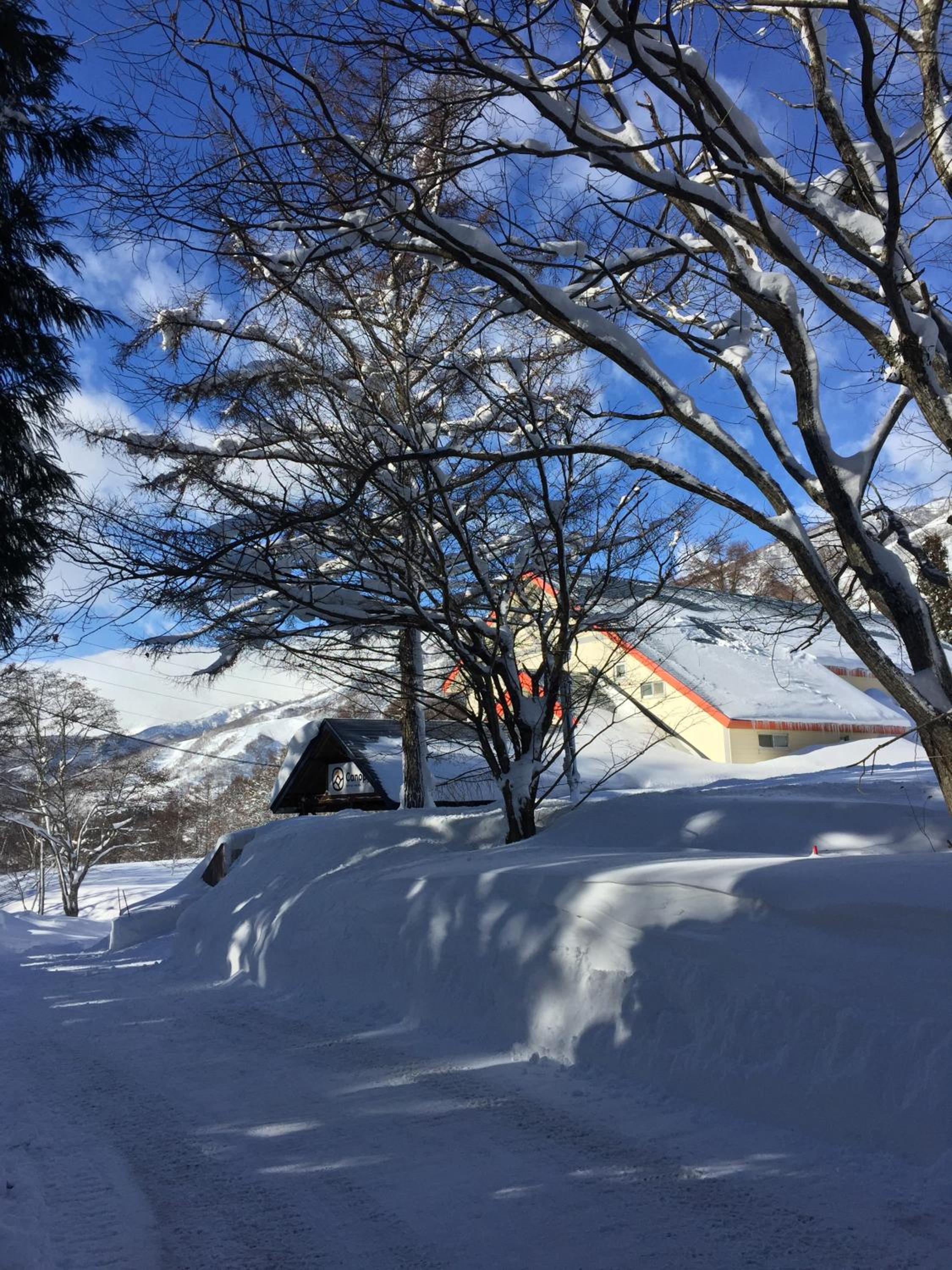 Canopy Lodge - Boutique Lodge at Hakuba Cortina view 2