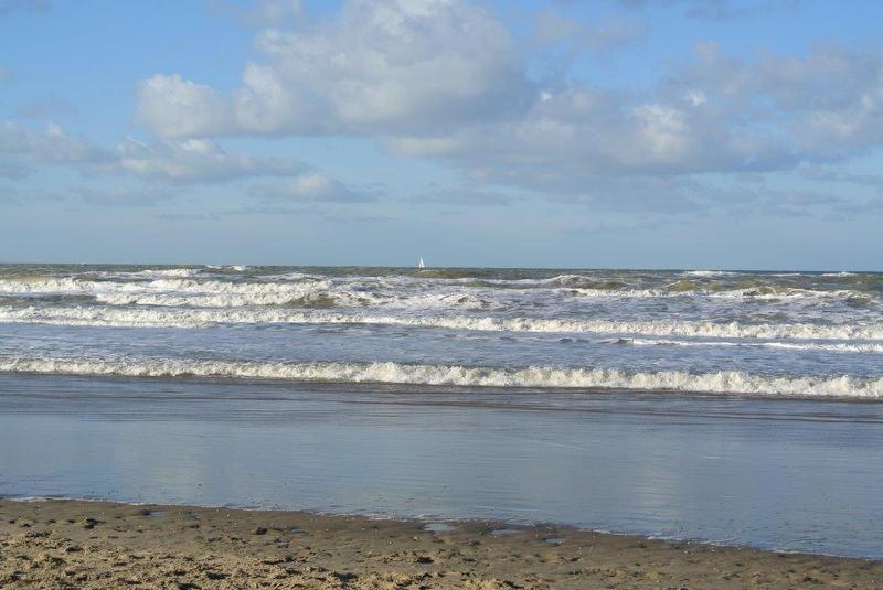 Zeelicht
