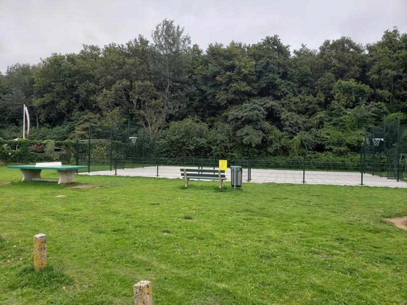 Zeelicht