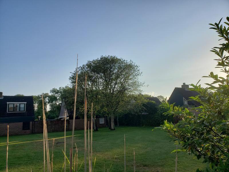 Zeelicht