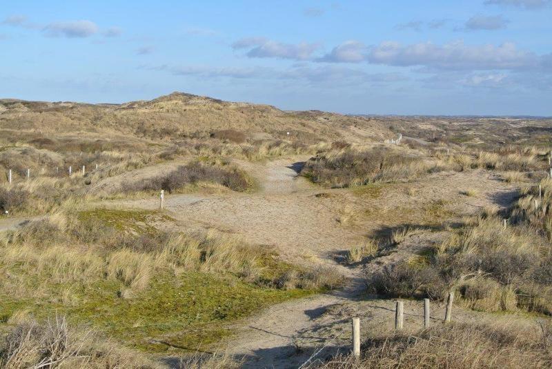 Zeelicht
