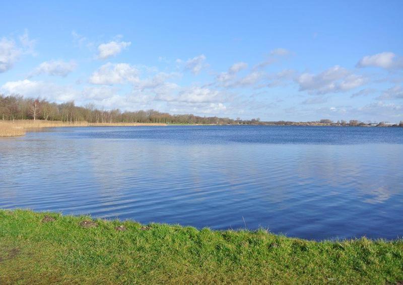 Zeelicht