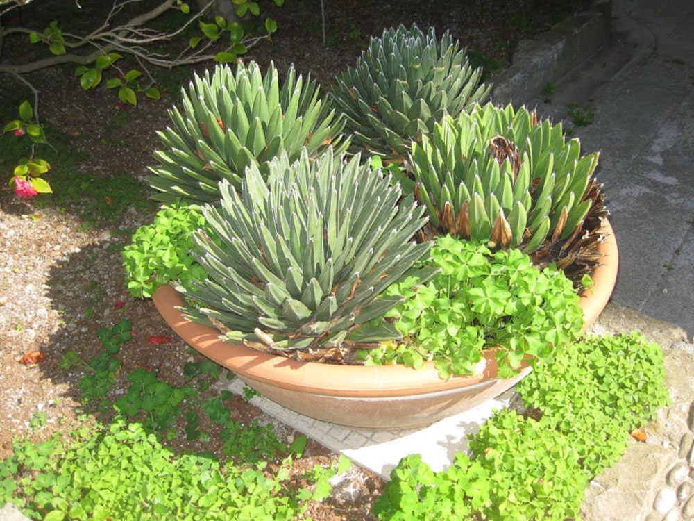 Photo 48