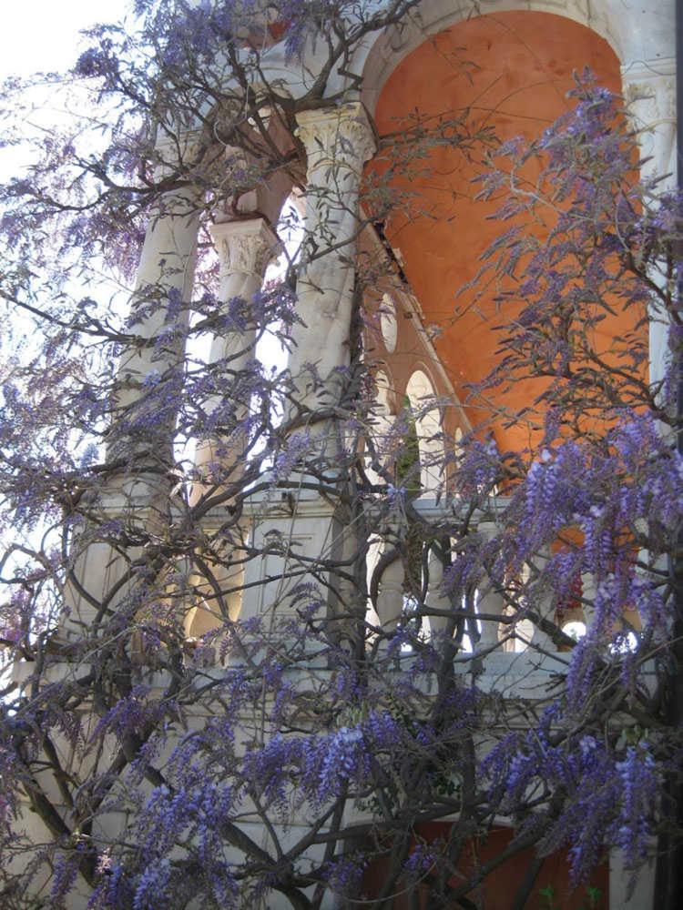 Photo 51