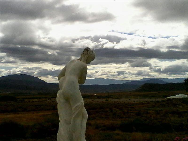 Photo 51