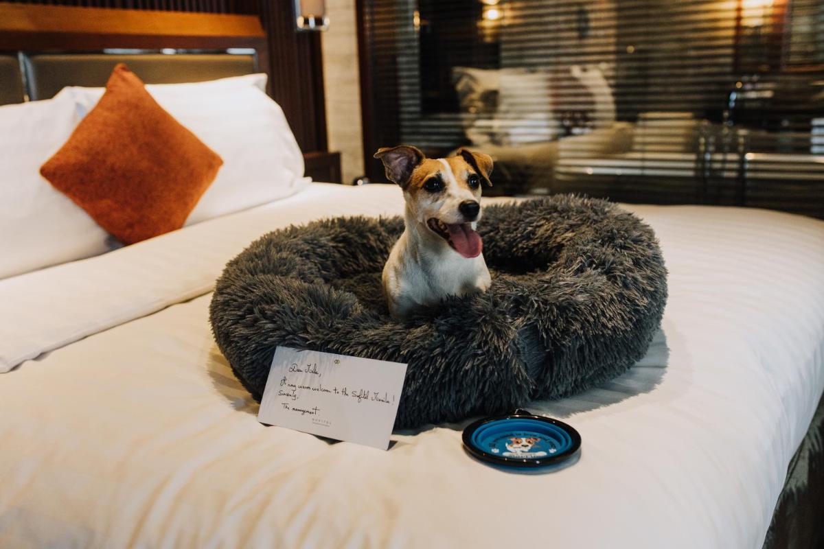 hotel room