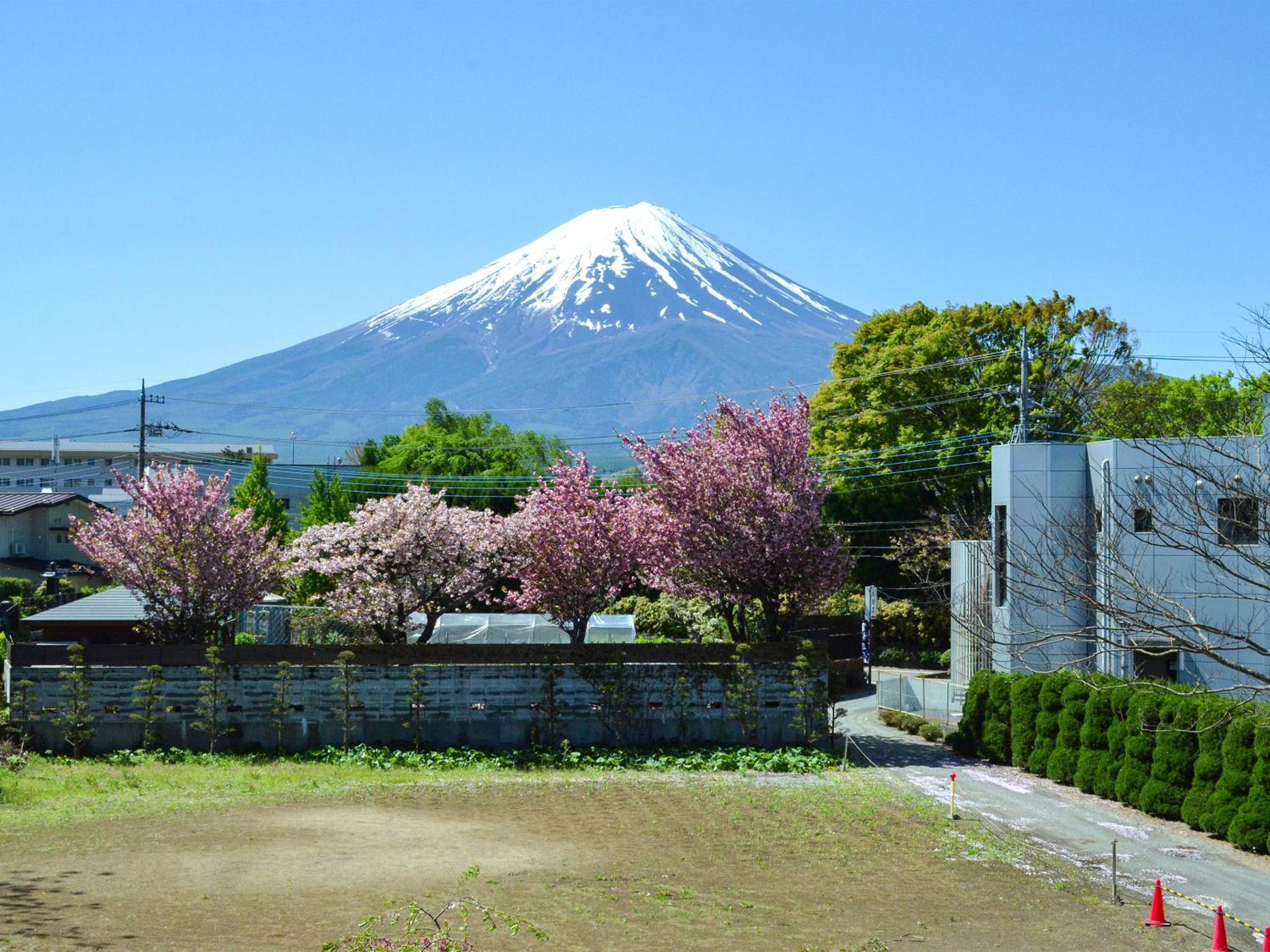 Maruyaso