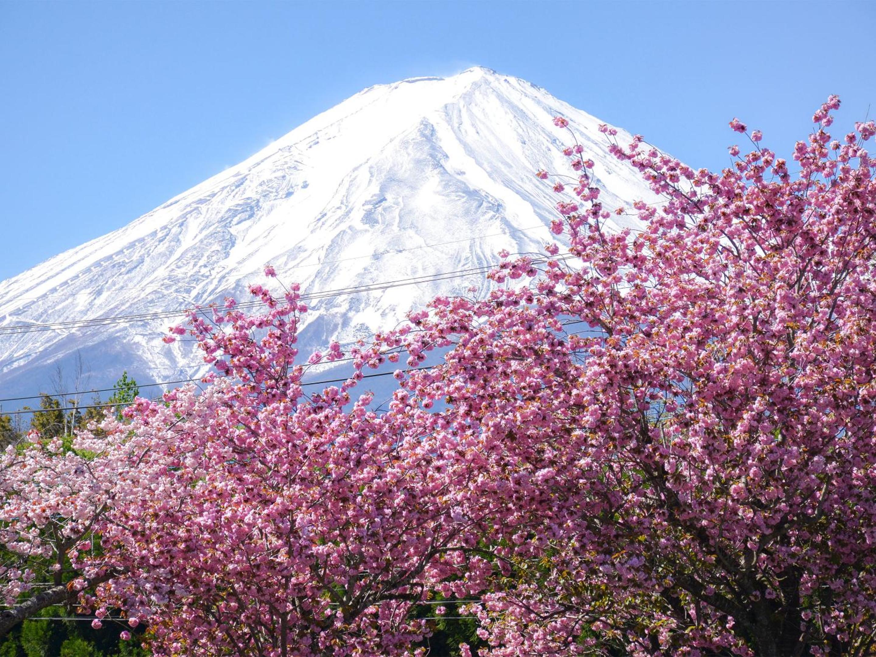 Maruyaso