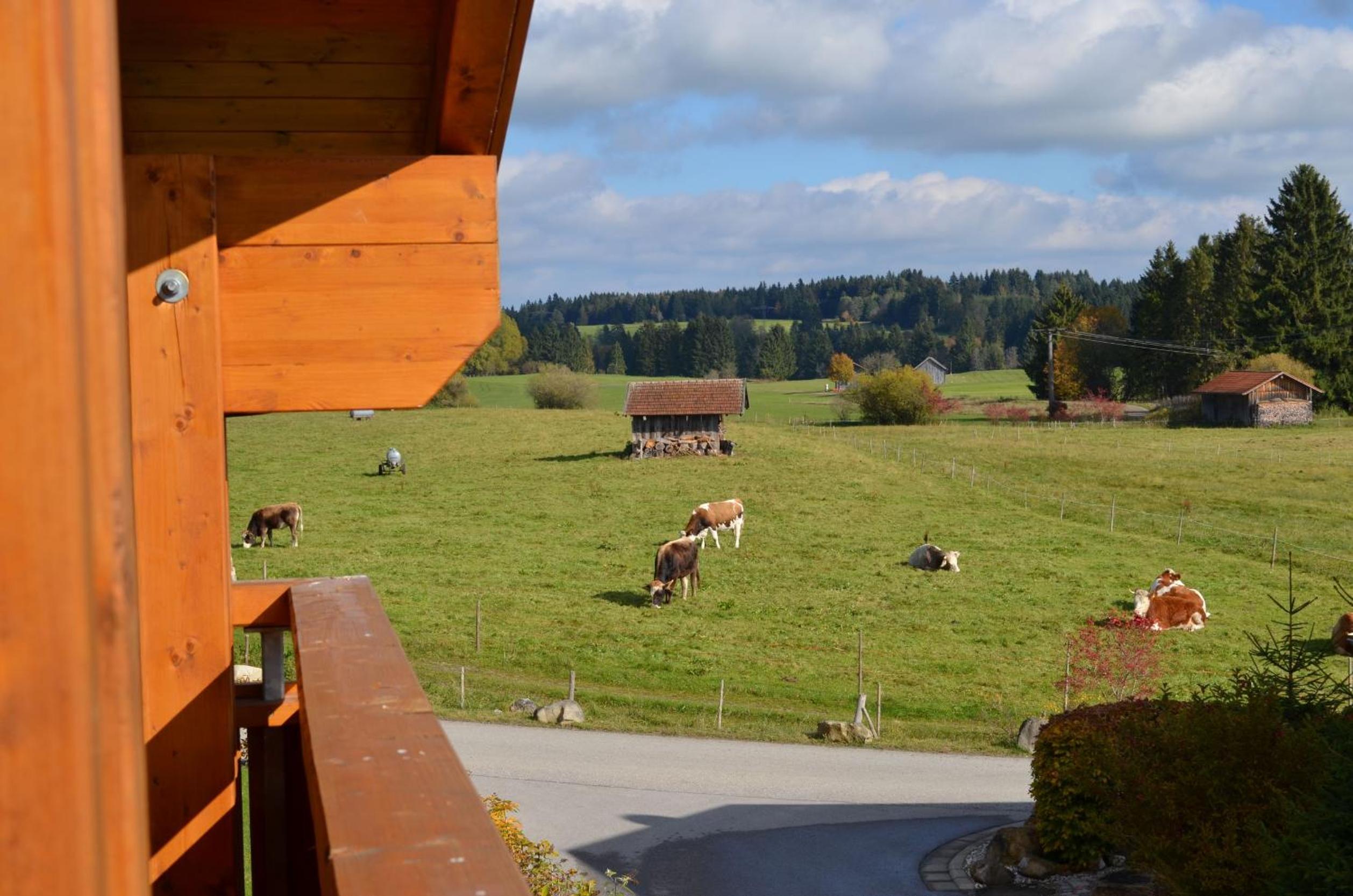 Feriendorf Via Claudia Haus 42 Onkel Leo
