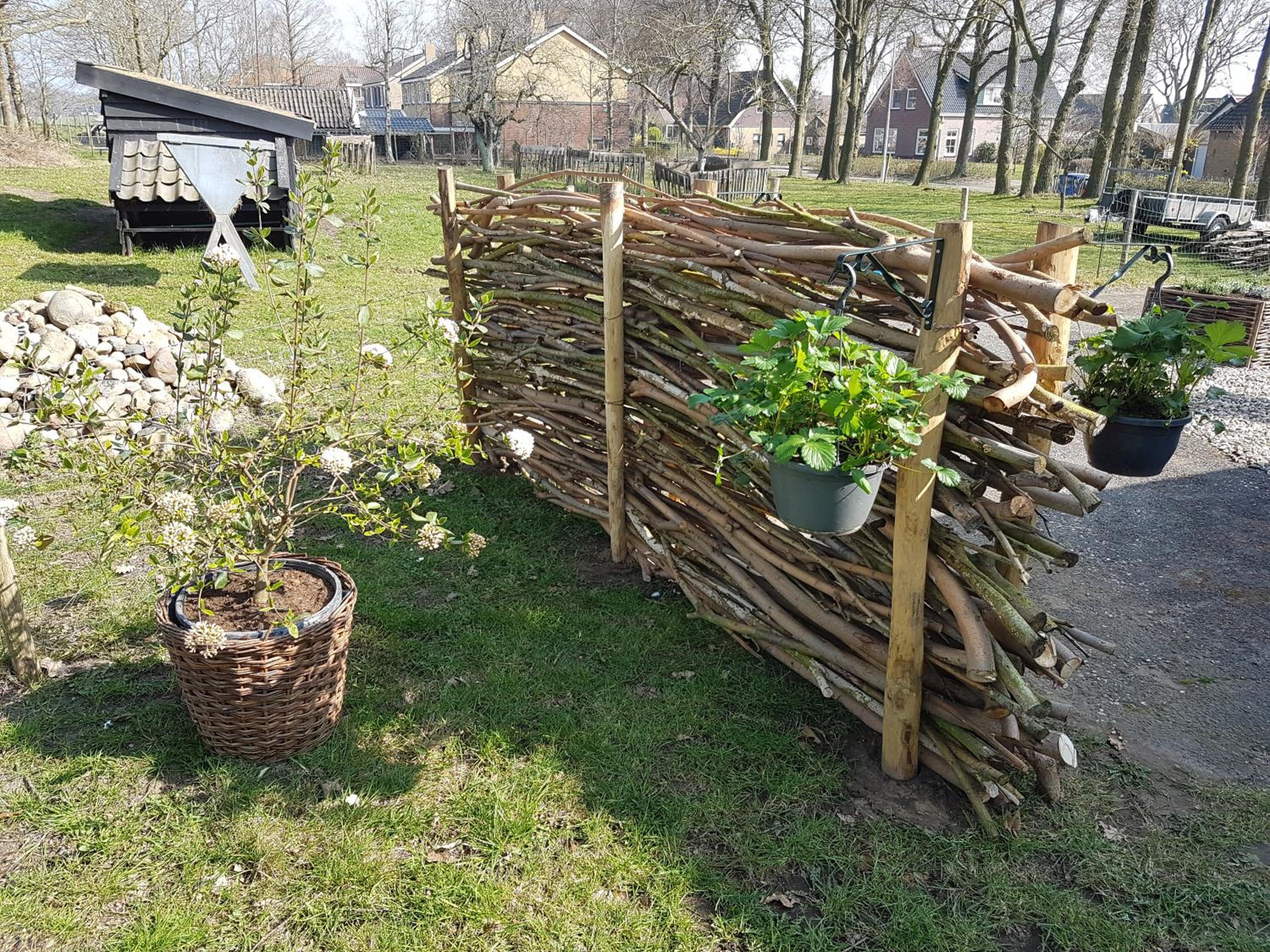Photo 23