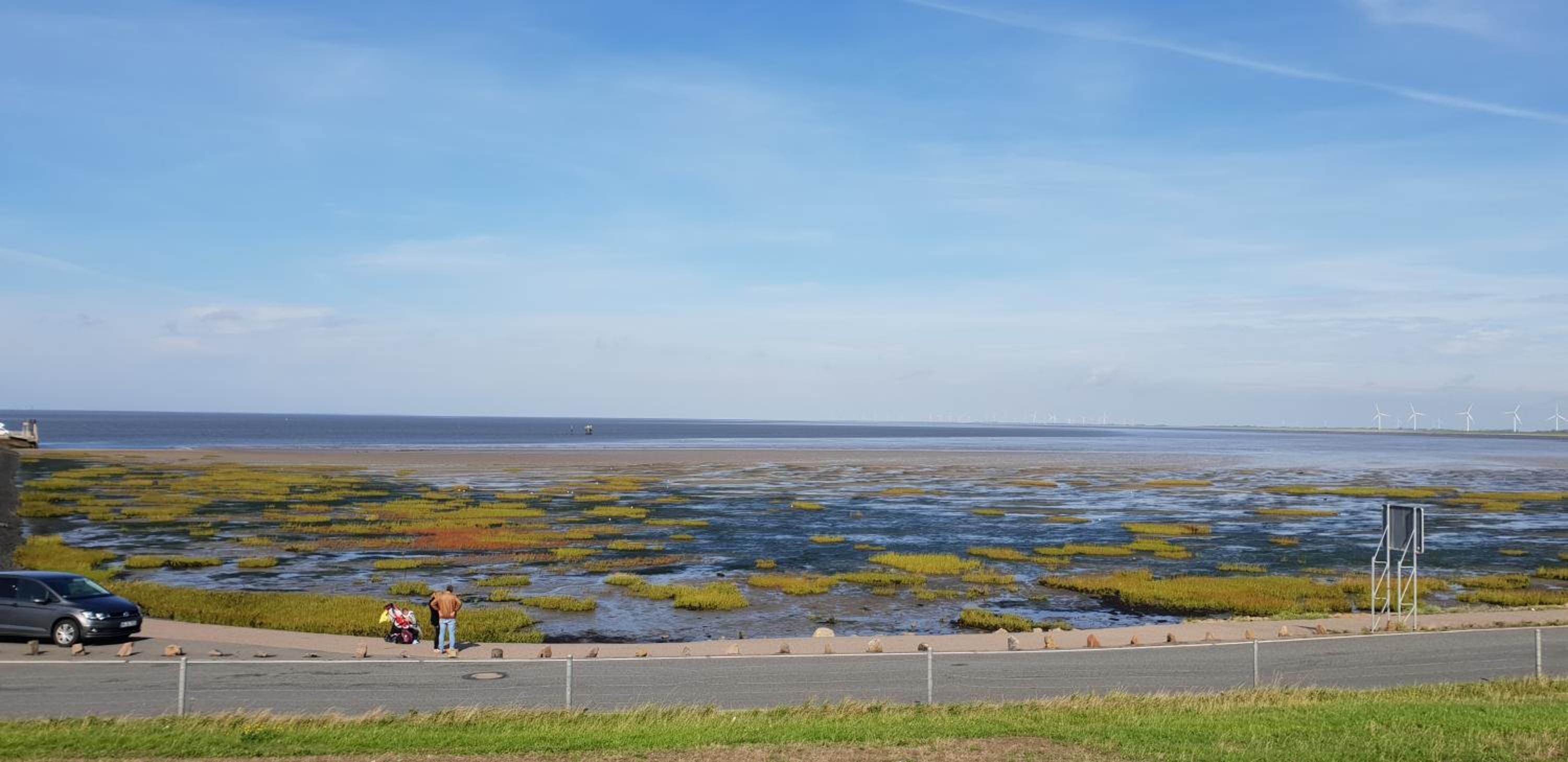 Deichhus Nordseeliebe direkt am Deich - Nordsee - Dagebüll - Am Vogelreservat