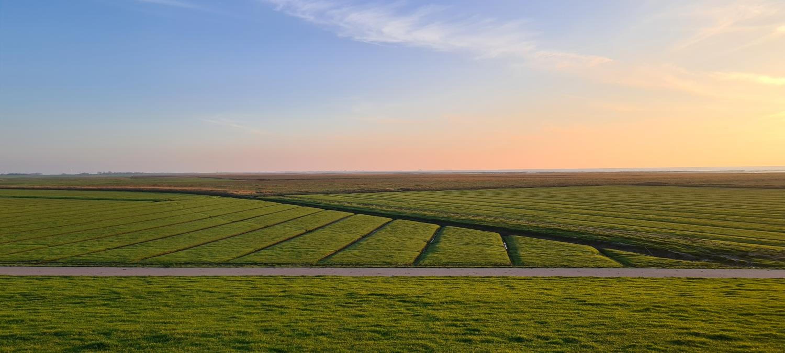 Deichhus Nordseeliebe direkt am Deich - Nordsee - Dagebüll - Am Vogelreservat