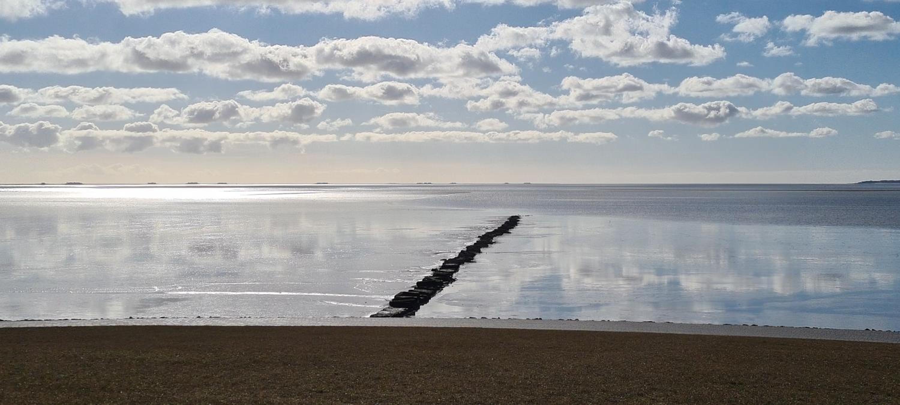 Deichhus Nordseeliebe direkt am Deich - Nordsee - Dagebüll - Am Vogelreservat