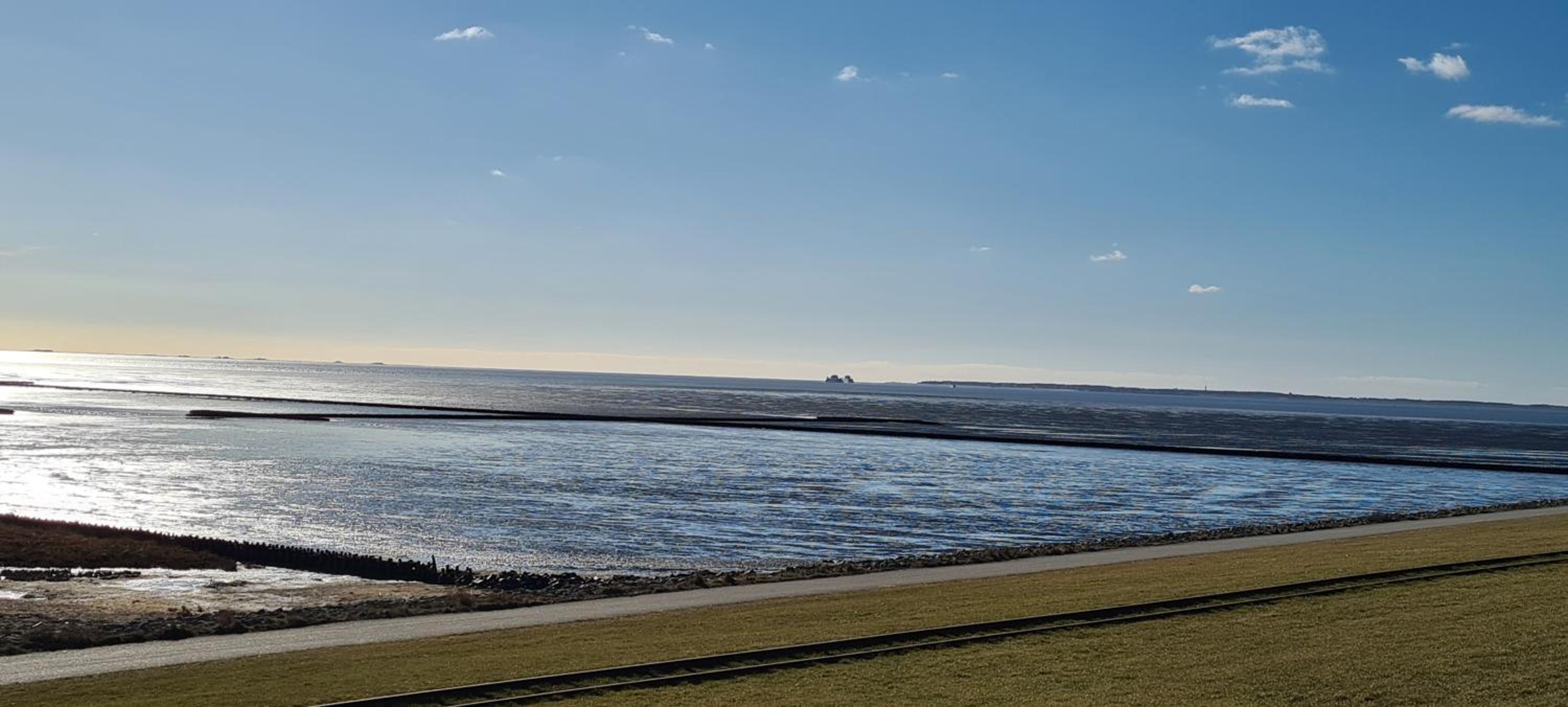 Deichhus Nordseeliebe direkt am Deich - Nordsee - Dagebüll - Am Vogelreservat