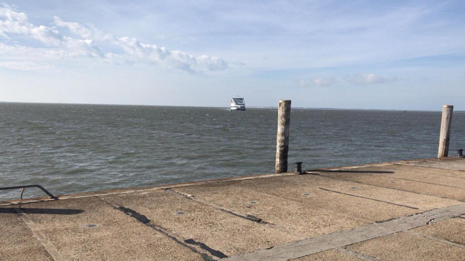 Deichhus Nordseeliebe direkt am Deich - Nordsee - Dagebüll - Am Vogelreservat