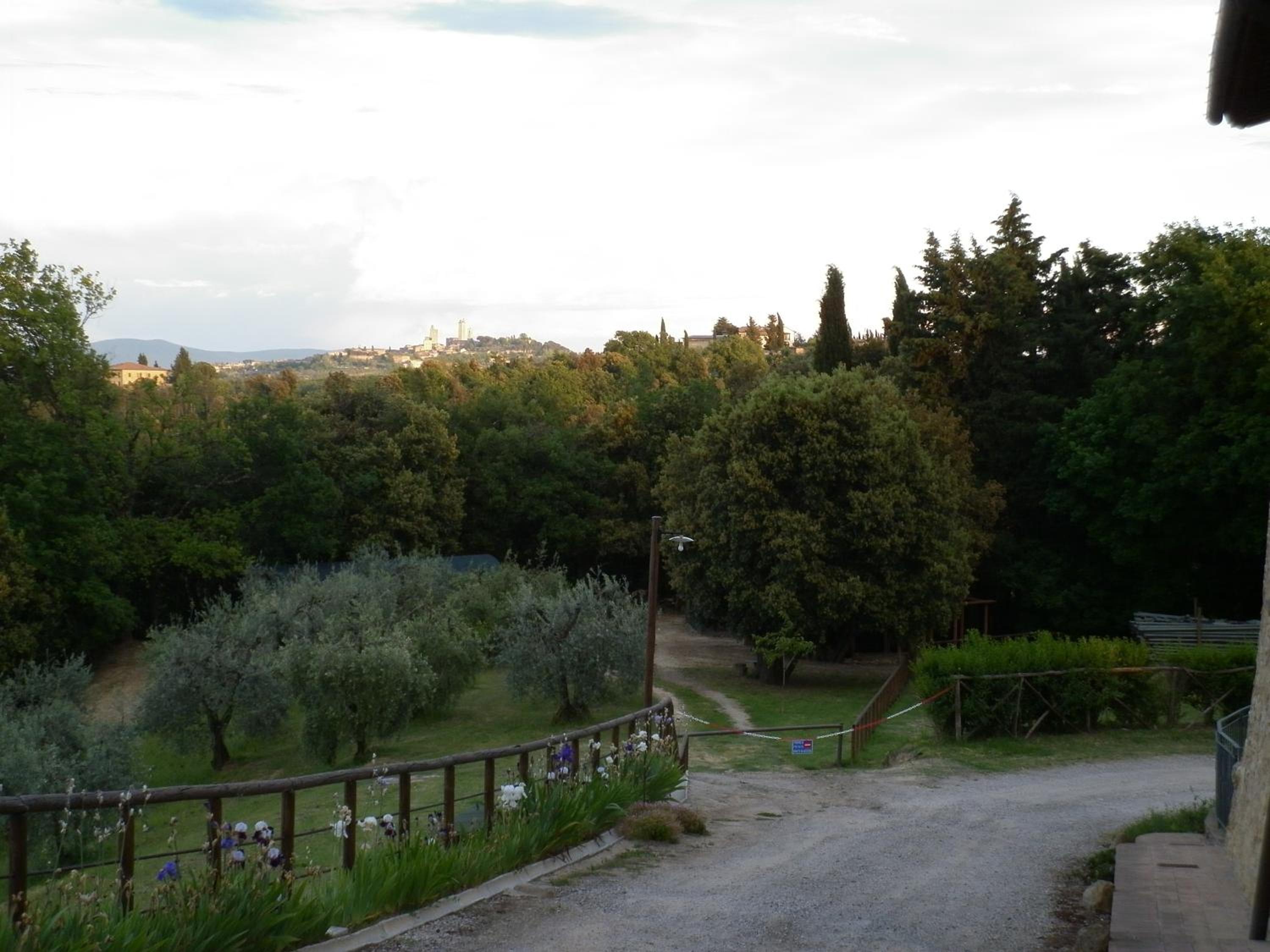 Photo 27