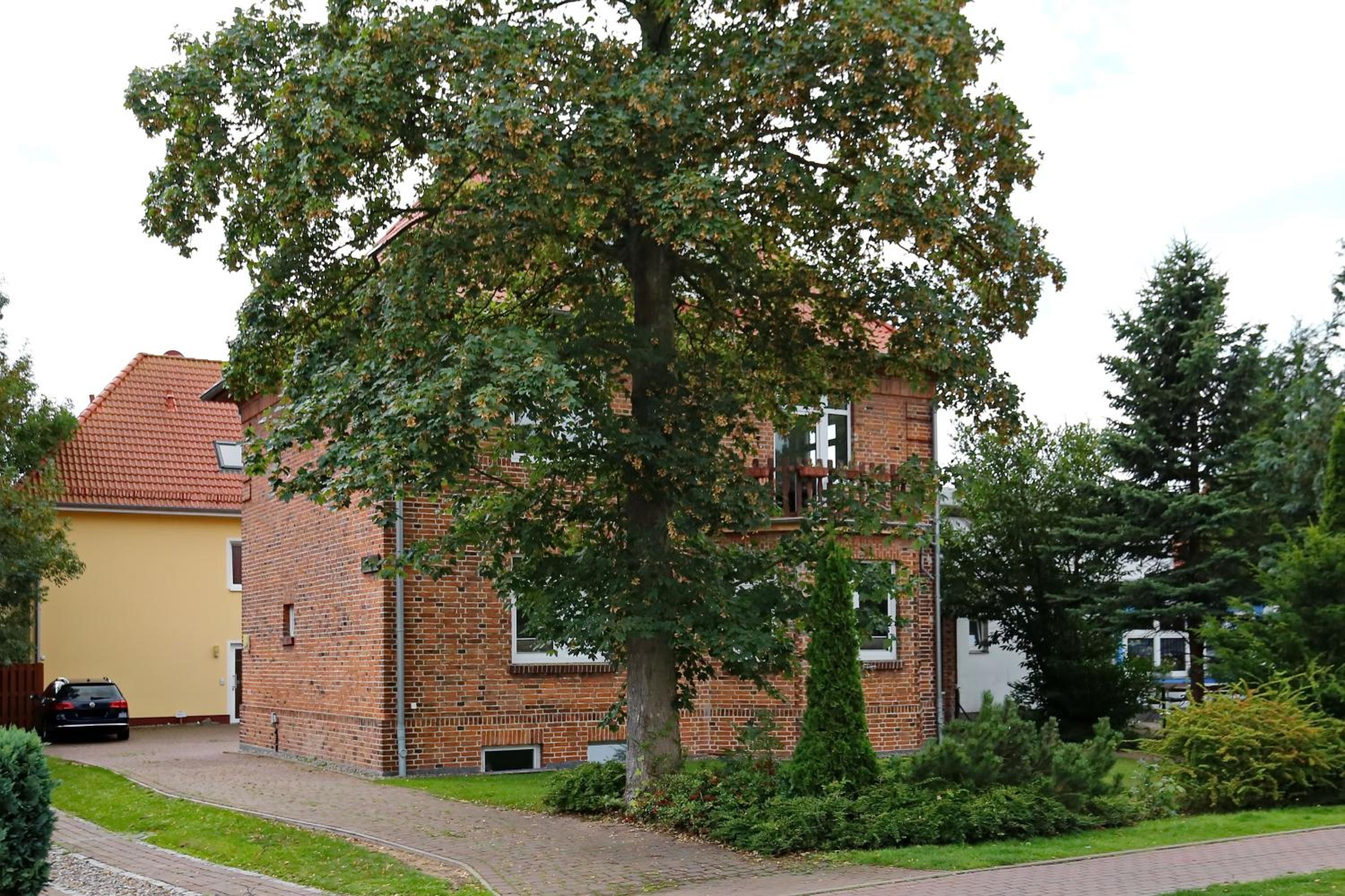 Photo 13