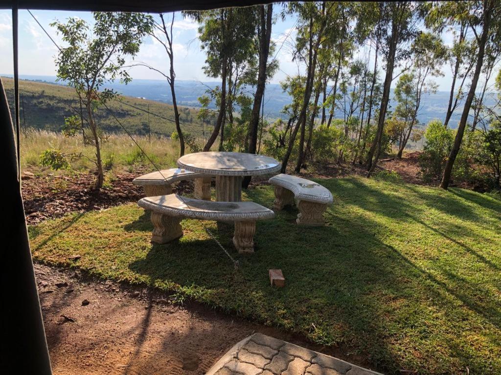 Photo 51