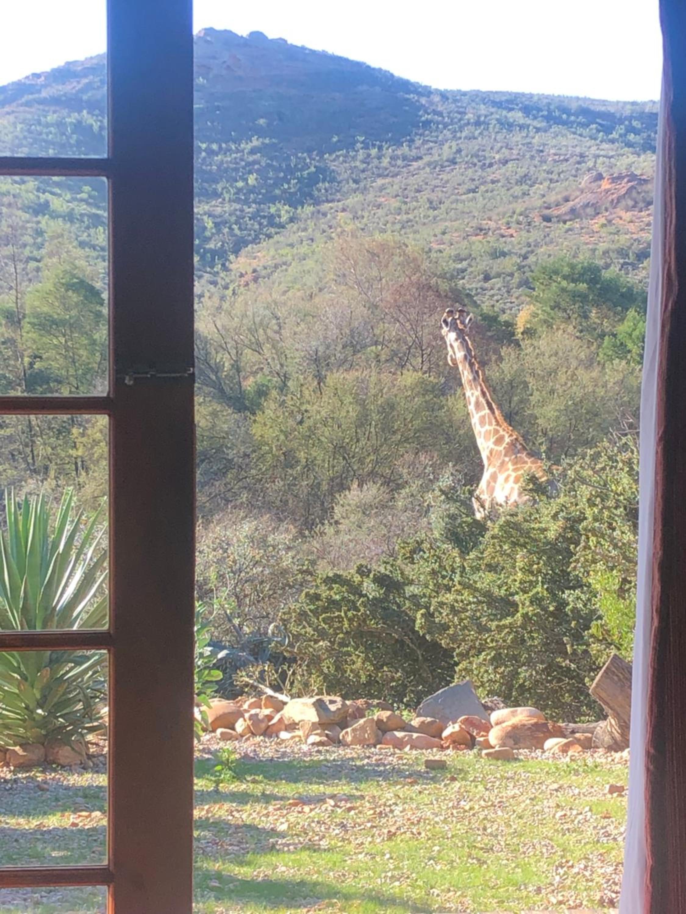 Zwartberg View Mountain Lodge