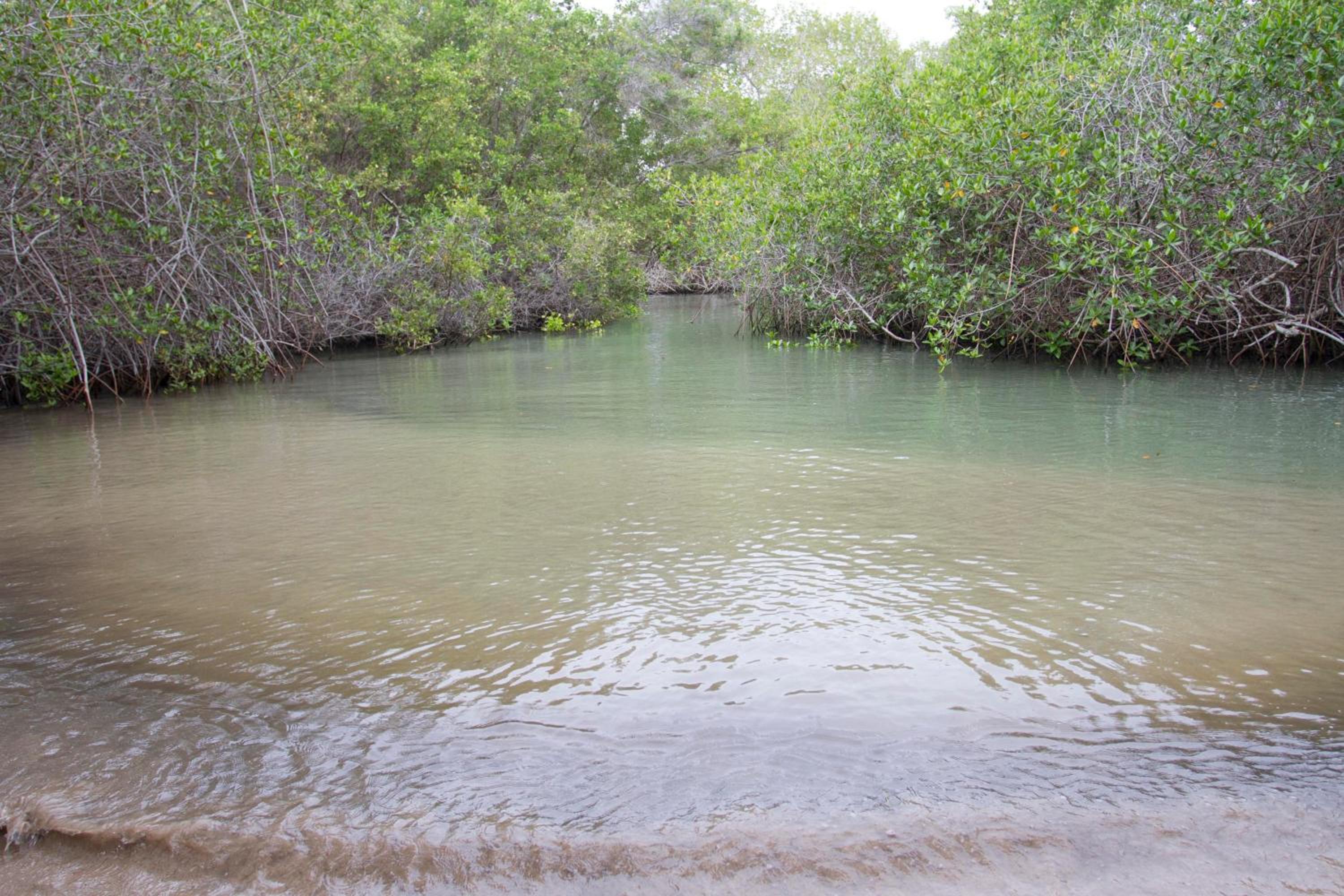 Paraiso de Isabela