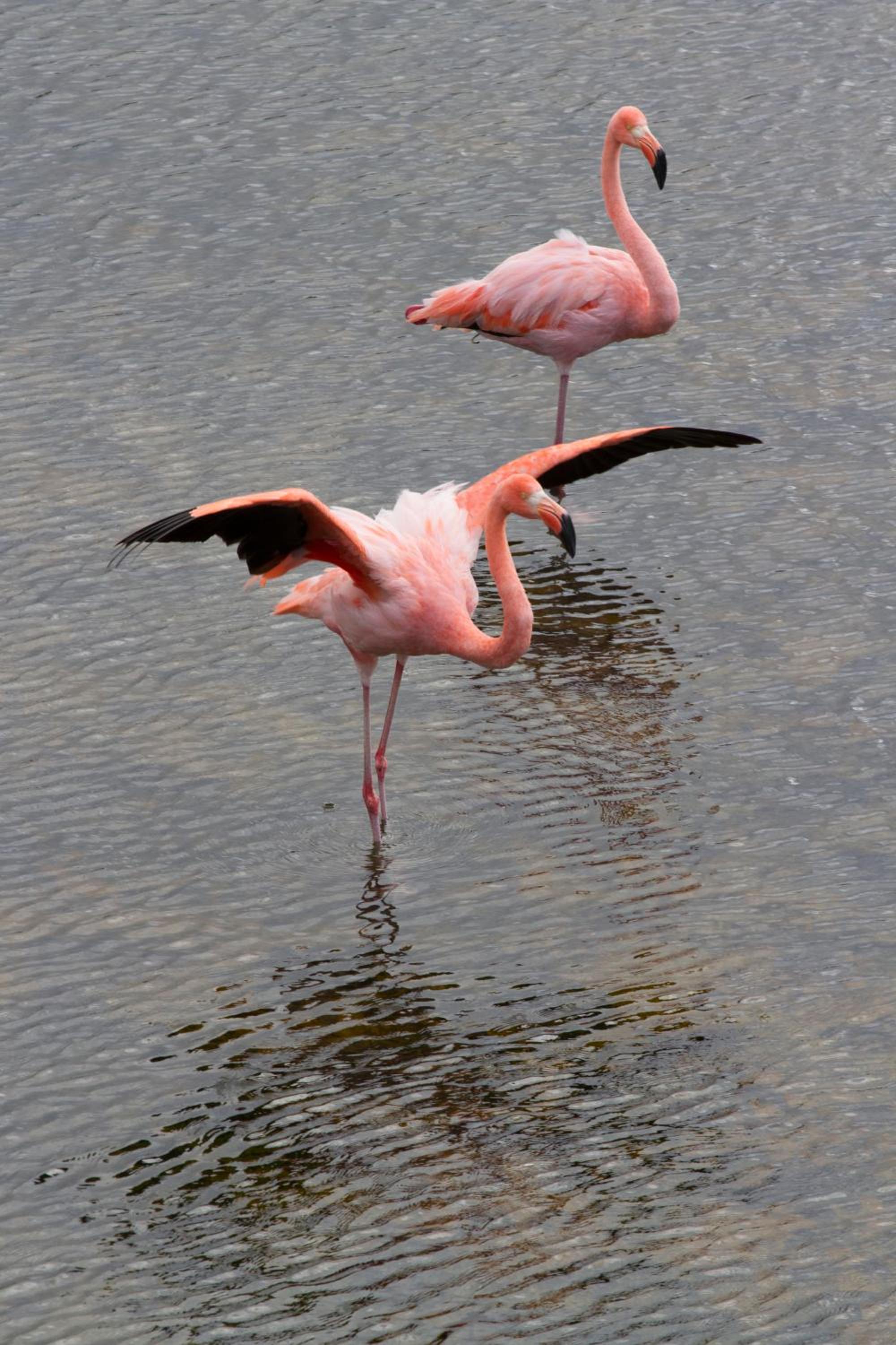 Paraiso de Isabela