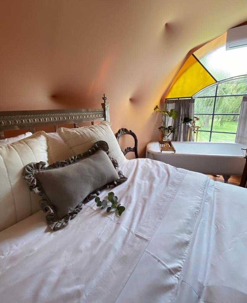 Don Aniceto Lodges & Glamping