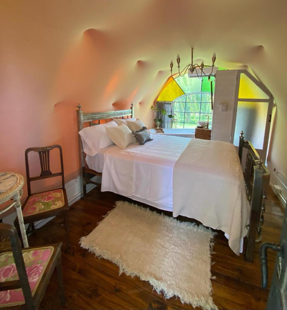 Don Aniceto Lodges & Glamping