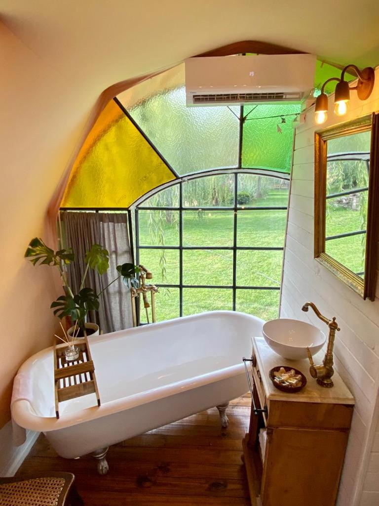 Don Aniceto Lodges & Glamping