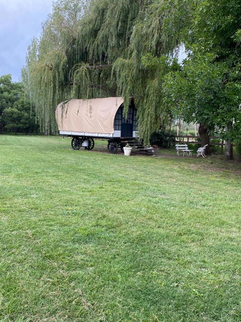 Don Aniceto Lodges & Glamping