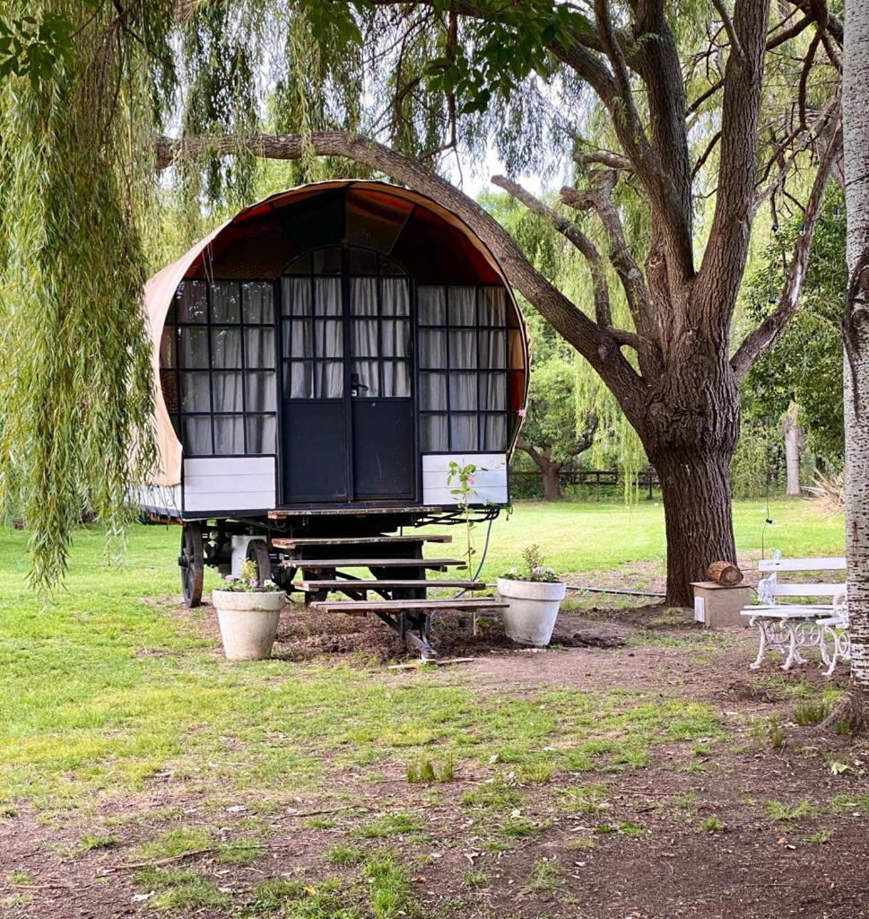 Don Aniceto Lodges & Glamping