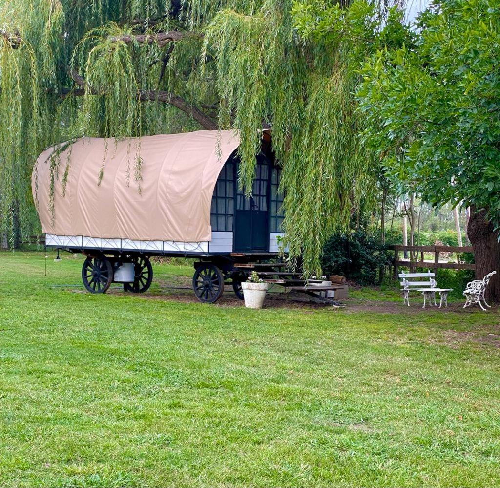 Don Aniceto Lodges & Glamping