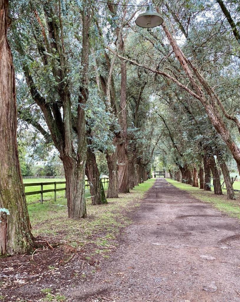 Don Aniceto Lodges & Glamping