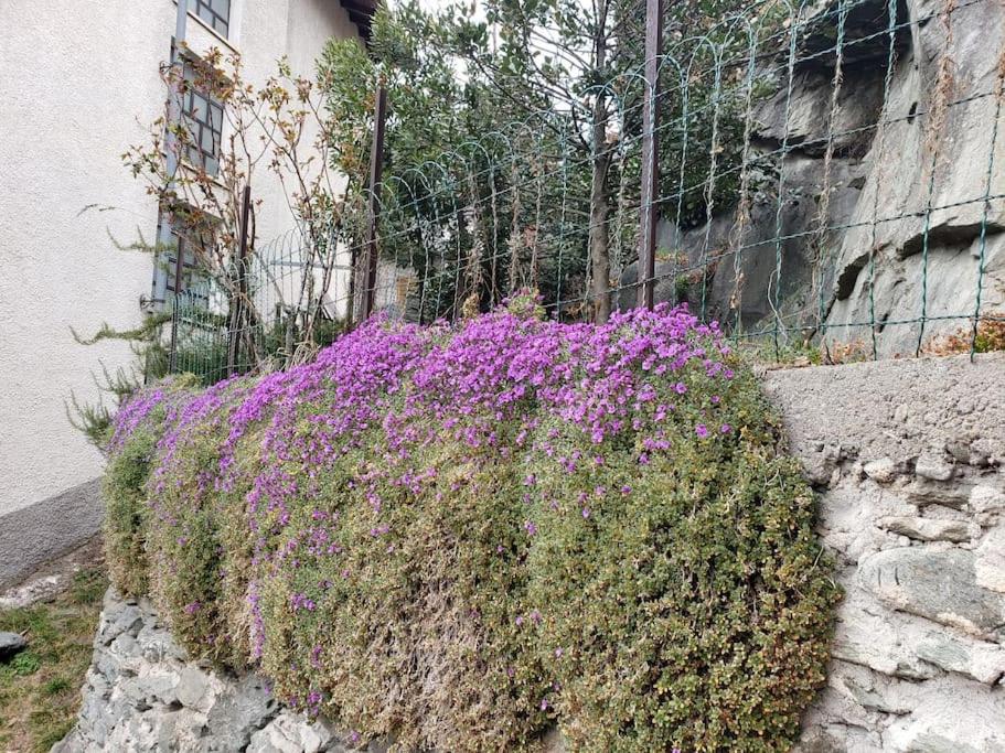Ormea nel cuore view 2