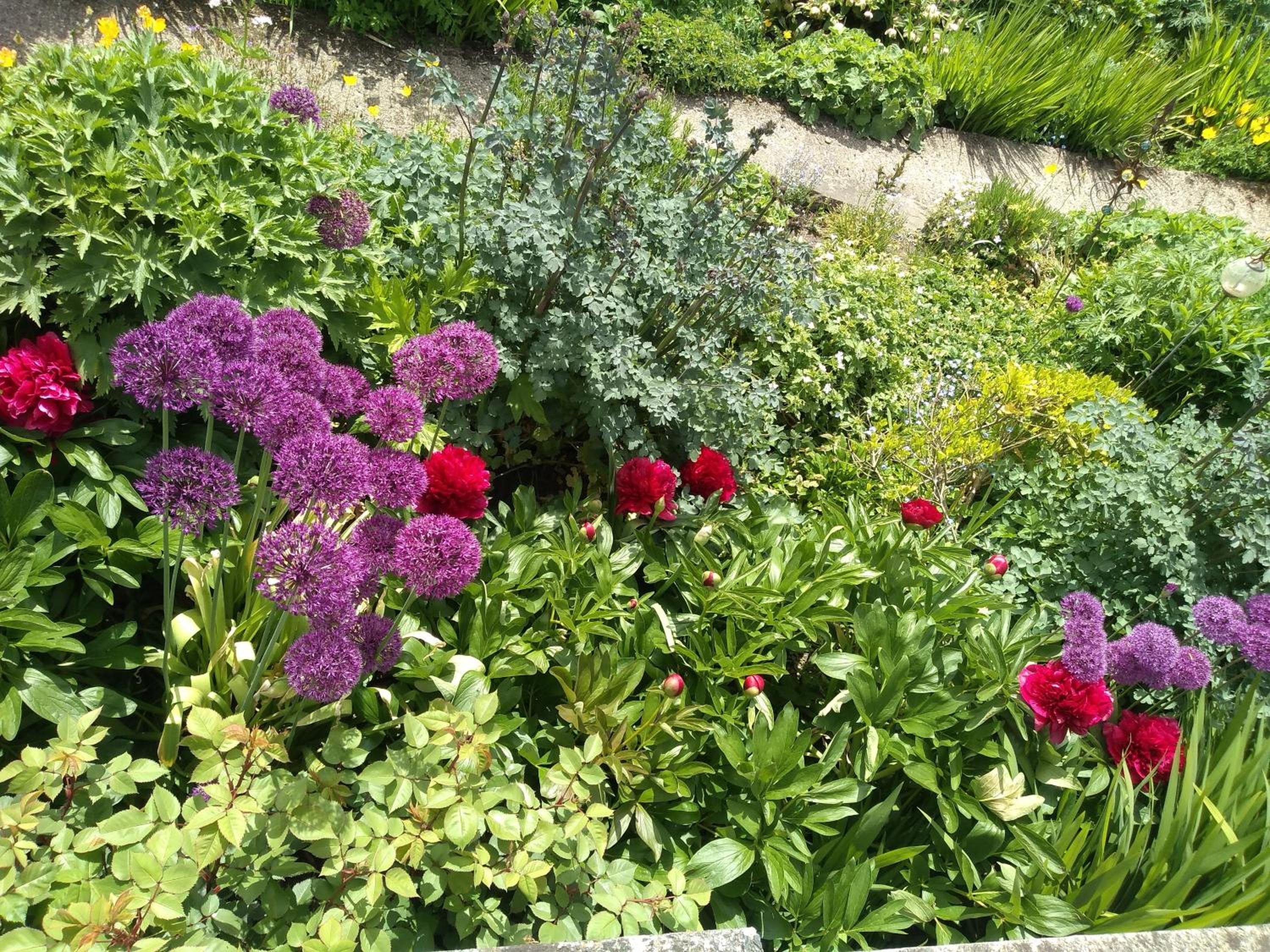 Photo 20