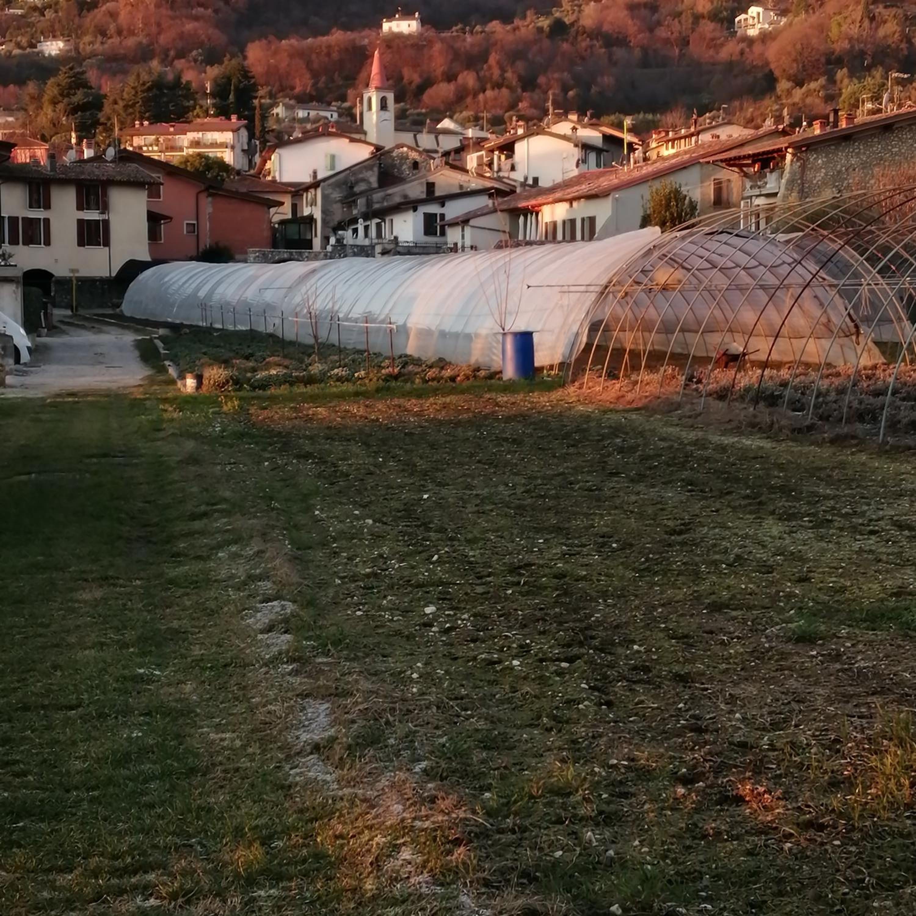 Little Family view 4