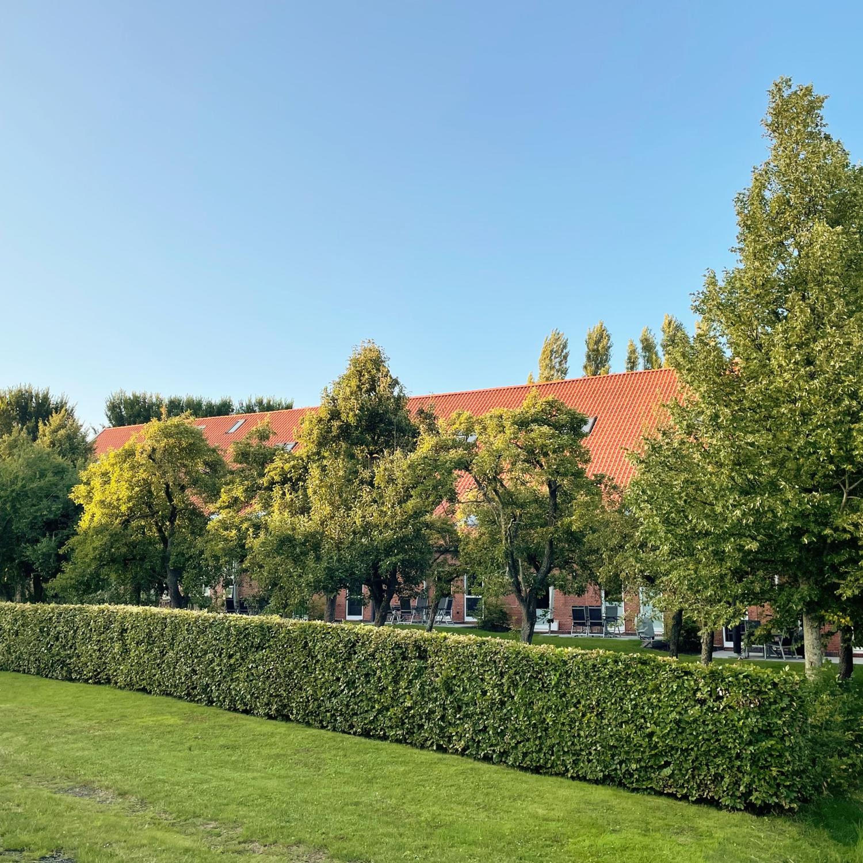 Gulfhof Boomgaarden 4 Aafke