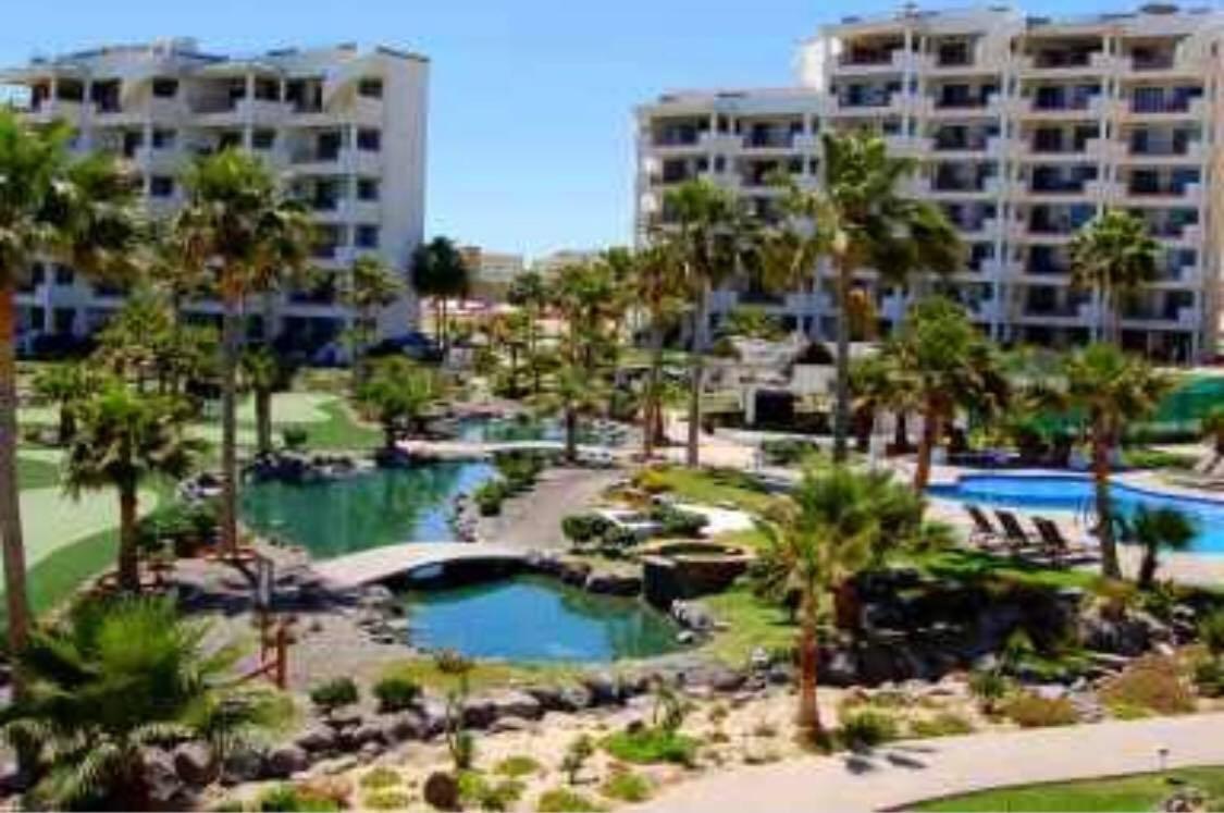 C203 Rocky Point Luxury Ocean View Condo view 3