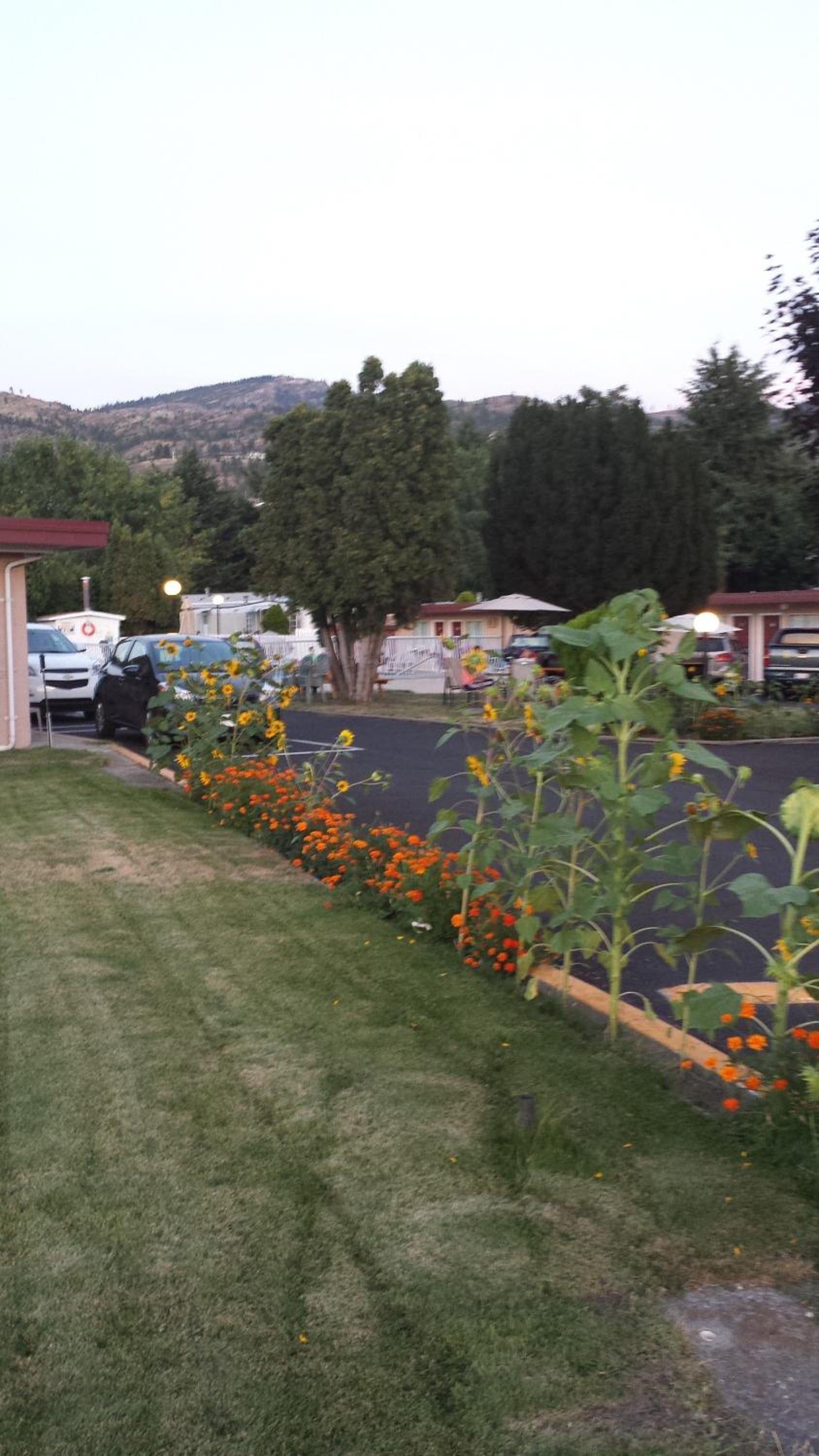 Swiss Sunset Inn