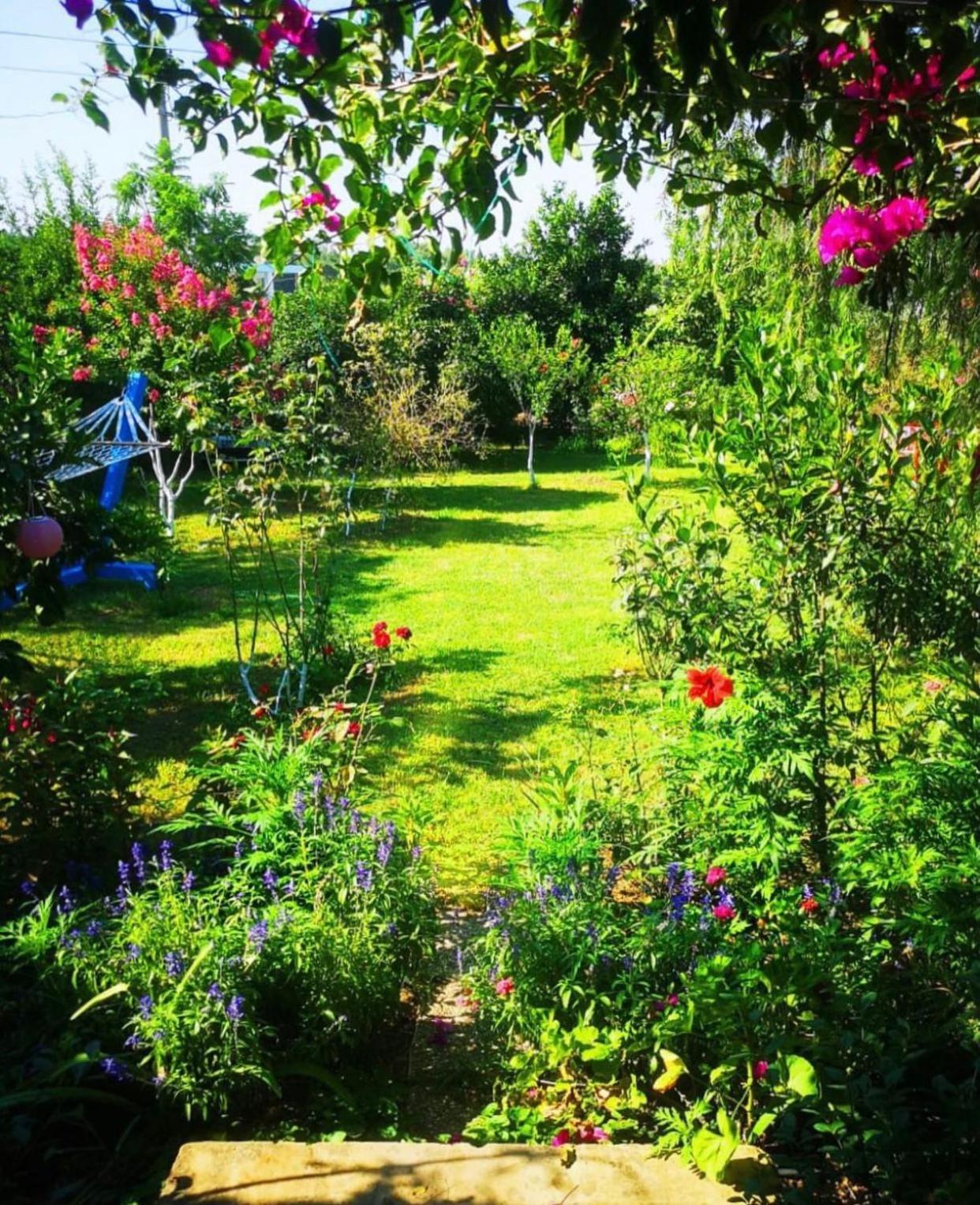 Masal Evimiz - Image 84