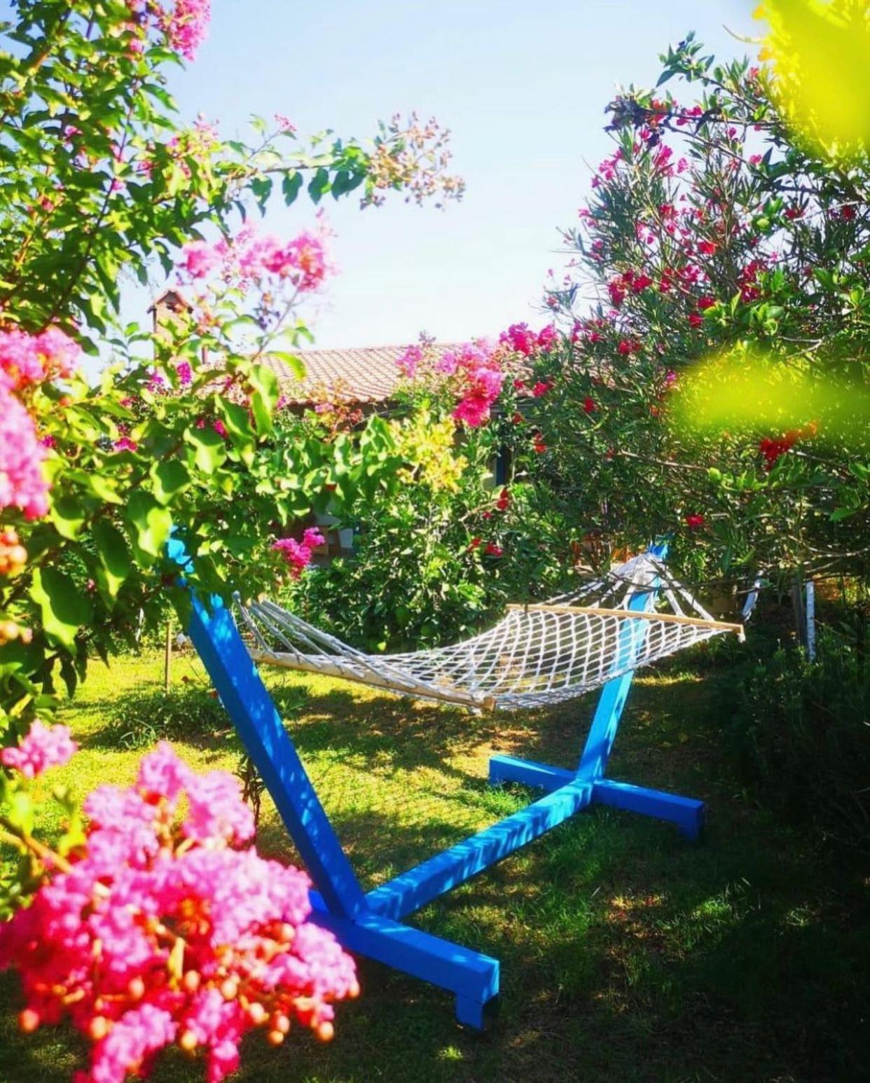 Masal Evimiz - Image 86