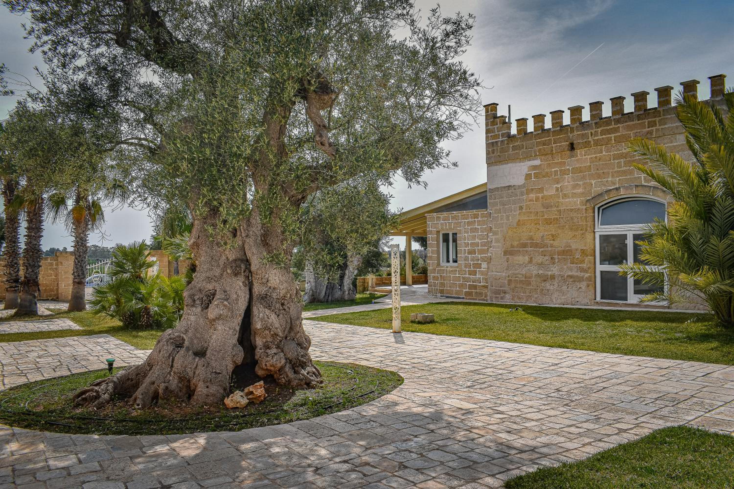 Masseria Tenuta Quintino