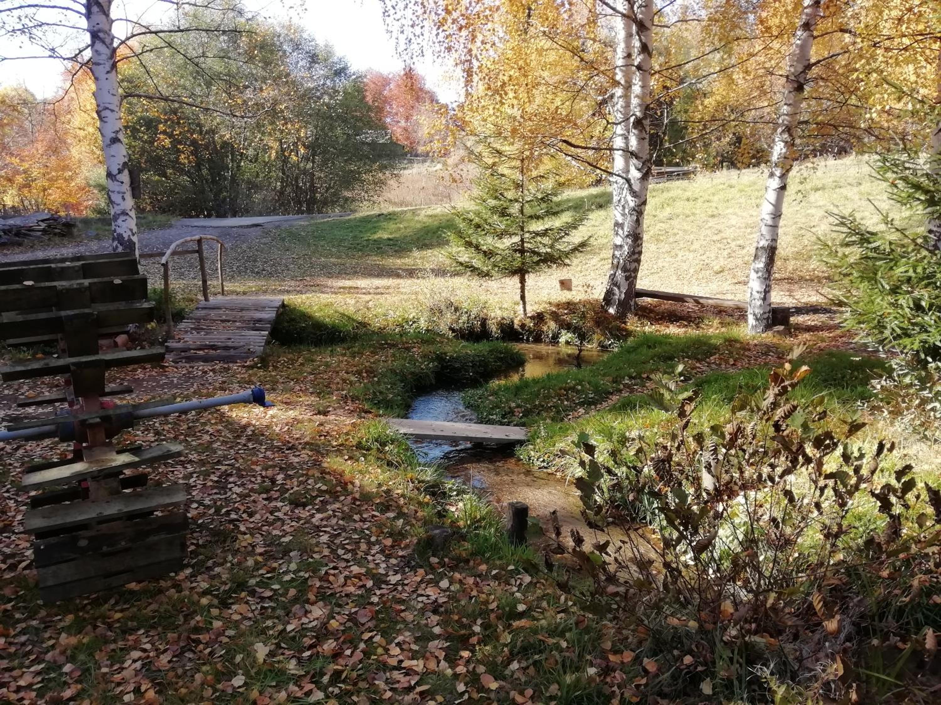 Photo 26