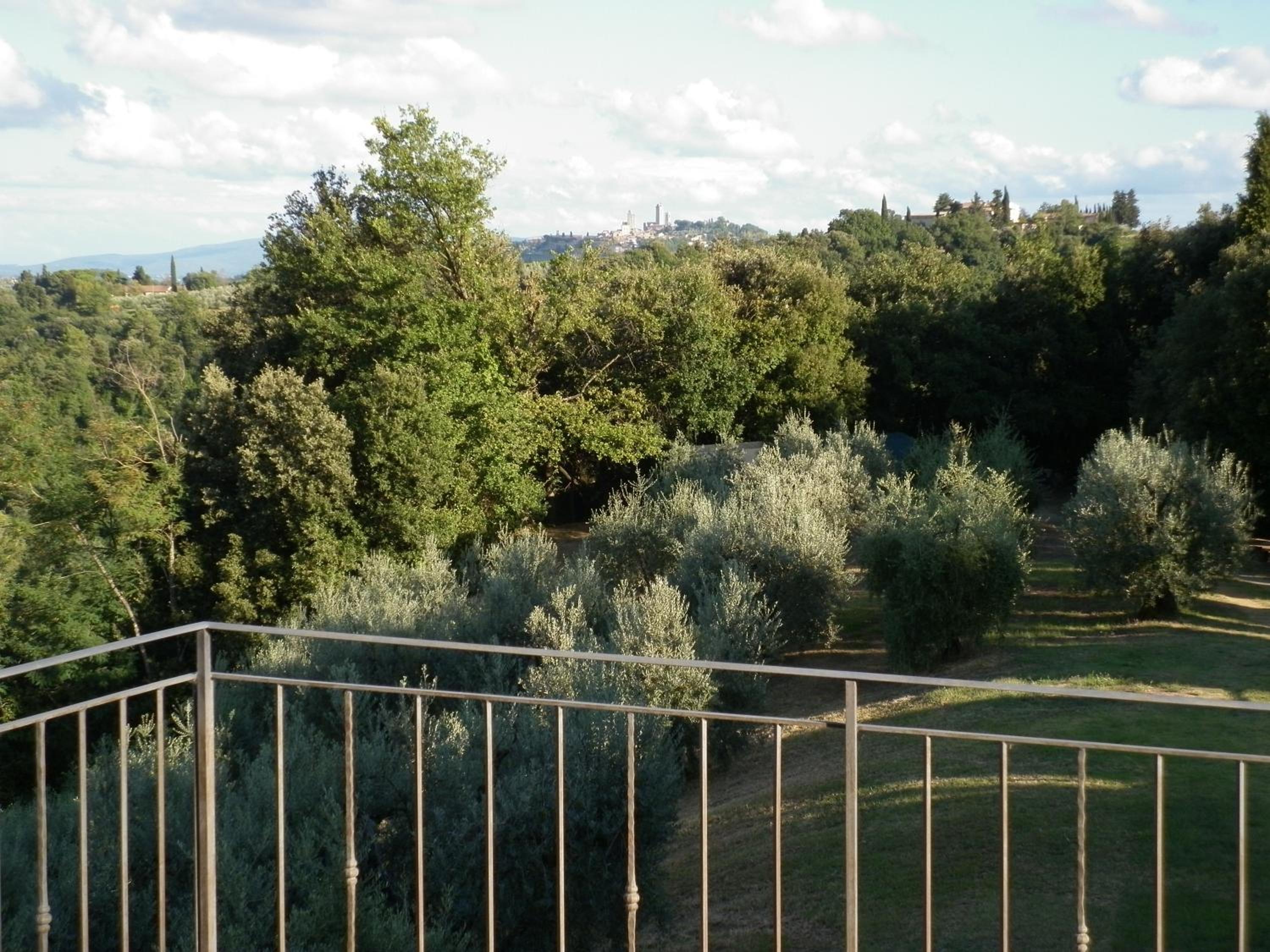 Photo 46