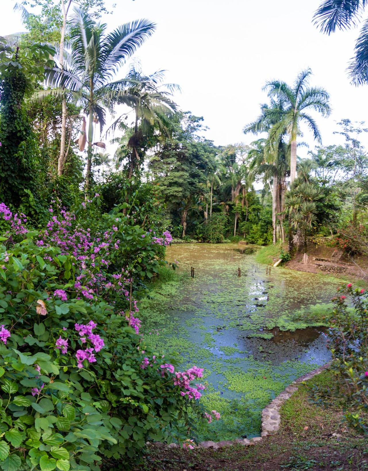Pousada Casa de Pedra