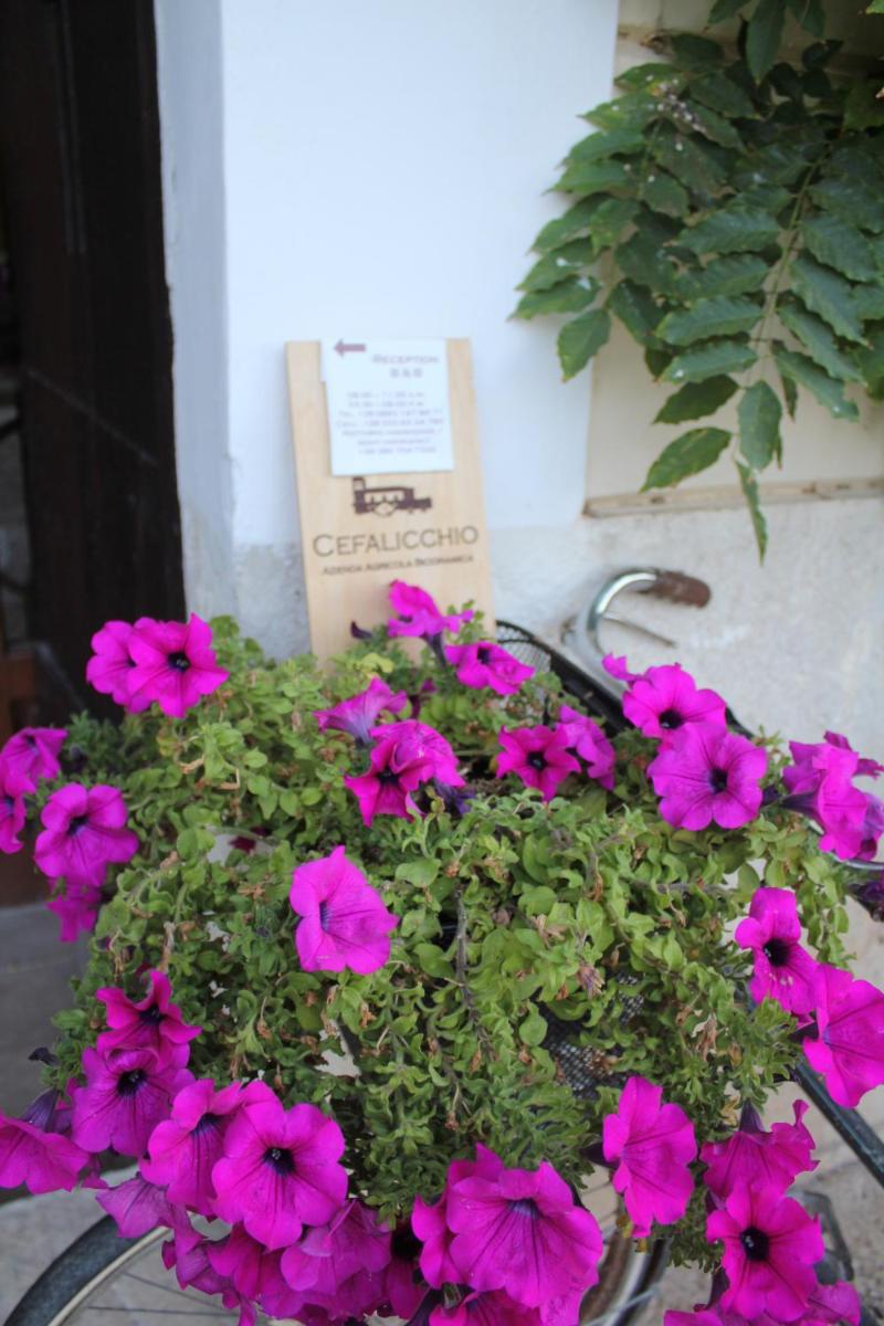 Cefalicchio B&B