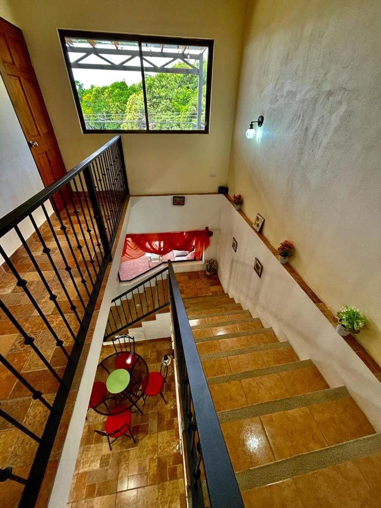 Moni´s House
